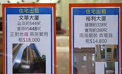 未曾見過香港人居，方知尋常生活貴